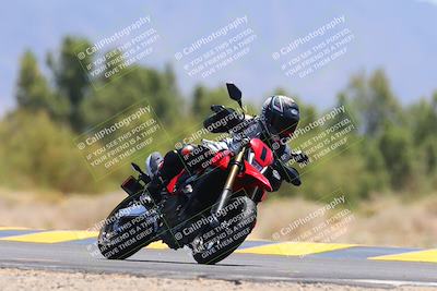 media/May-12-2024-SoCal Trackdays (Sun) [[ad755dc1f9]]/12-Turn 7 (1150am)/